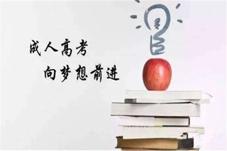 歷年成考經驗分享，別錯過哦~