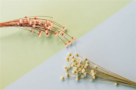 貴州成考哪些專業容易通過?